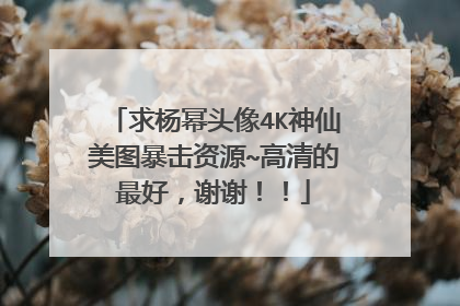 求杨幂头像4K神仙美图暴击资源~高清的最好，谢谢！！