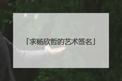 求杨欣哲的艺术签名