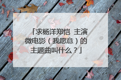求杨洋郑恺 主演微电影（我愿意）的主题曲叫什么？