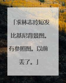 求林志玲短发比基尼背景图。有参照图。以前丢了。
