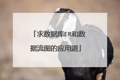 求数据库ER和数据流图的应用题