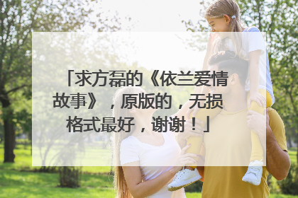求方磊的《依兰爱情故事》，原版的，无损格式最好，谢谢！