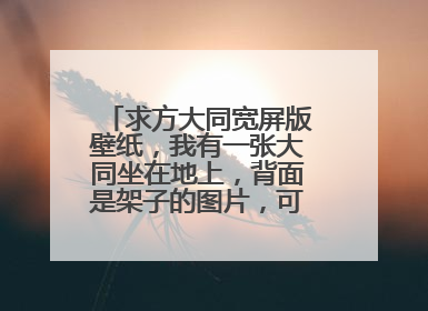 求方大同宽屏版壁纸,我有一张大同坐在地上,背面是架子的图片,可是太小了,扩大后作为桌面太模糊