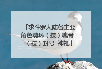 求斗罗大陆各主要角色魂环(技)魂骨(技)封号 神祗