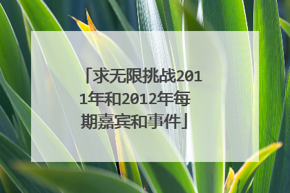 求无限挑战2011年和2012年每期嘉宾和事件