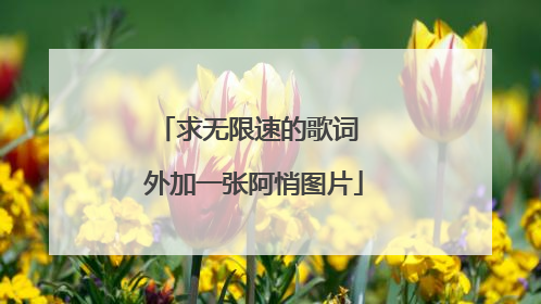 求无限速的歌词 外加一张阿悄图片