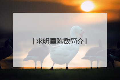 求明星陈数简介