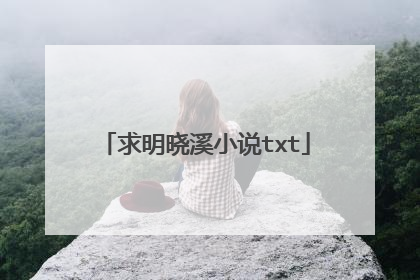 求明晓溪小说txt