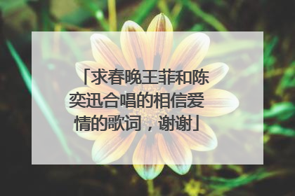 求春晚王菲和陈奕迅合唱的相信爱情的歌词，谢谢