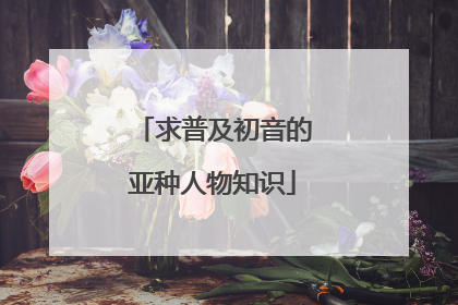 求普及初音的亚种人物知识