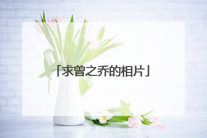 求曾之乔的相片