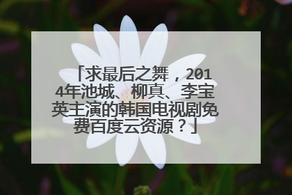 求最后之舞,2014年池城、柳真、李宝英主演的韩国电视剧免费百度云资源?