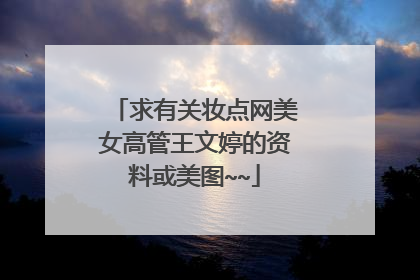 求有关妆点网美女高管王文婷的资料或美图~~