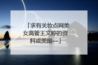 求有关妆点网美女高管王文婷的资料或美图~~