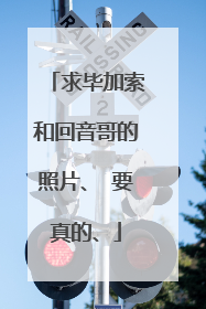 求毕加索和回音哥的照片、 要真的、