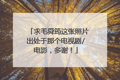 求毛舜筠这张照片出处于那个电视剧/电影，多谢！
