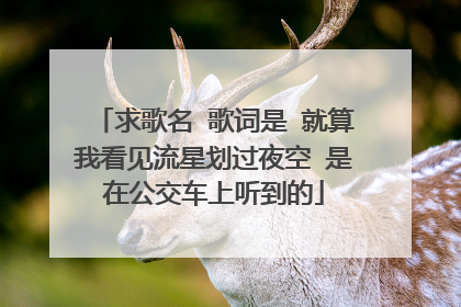 求歌名 歌词是 就算我看见流星划过夜空 是在公交车上听到的