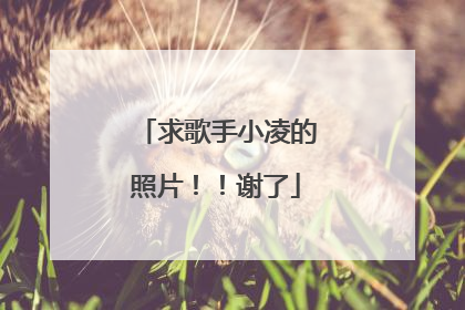 求歌手小凌的照片！！谢了