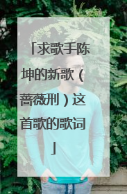 求歌手陈坤的新歌(蔷薇刑)这首歌的歌词