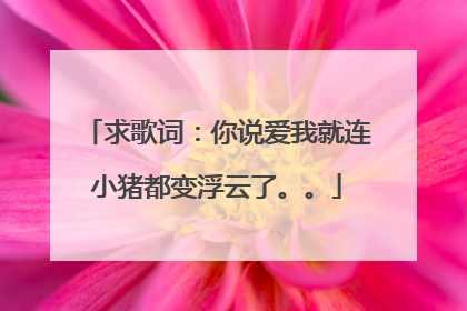 求歌词:你说爱我就连小猪都变浮云了。。