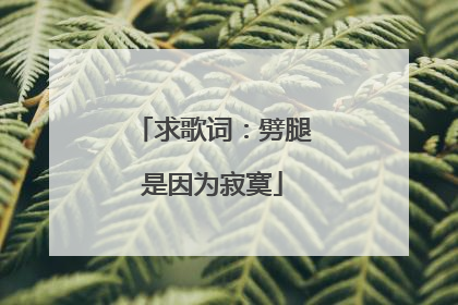 求歌词：劈腿是因为寂寞
