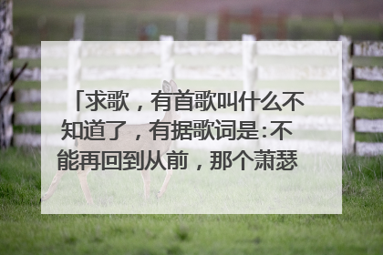 求歌,有首歌叫什么不知道了,有据歌词是:不能再回到从前,那个萧瑟的秋天)挺伤感的,请各位大神告诉我