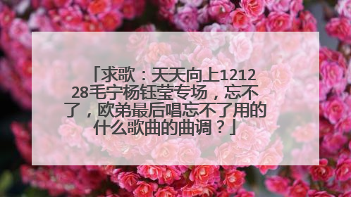 求歌:天天向上121228毛宁杨钰莹专场,忘不了,欧弟最后唱忘不了用的什么歌曲的曲调?