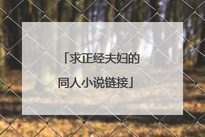 求正经夫妇的同人小说链接