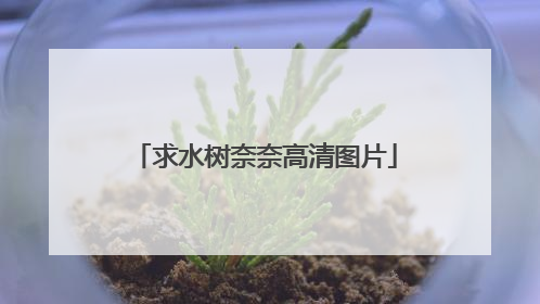 求水树奈奈高清图片
