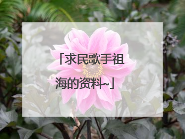 求民歌手祖海的资料~