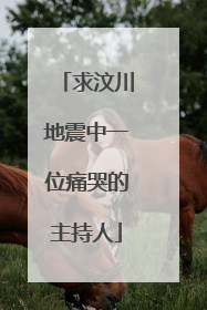 求汶川地震中一位痛哭的主持人