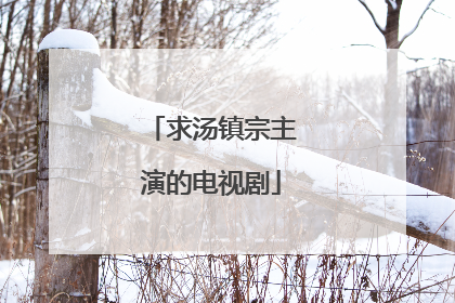 求汤镇宗主演的电视剧