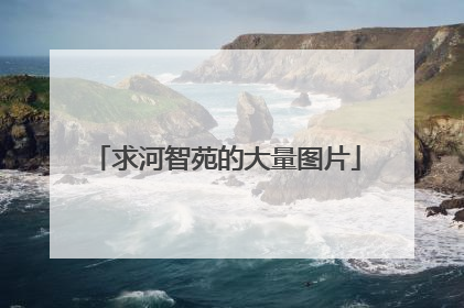 求河智苑的大量图片