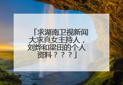求湖南卫视新闻大求真女主持人，刘烨和梁田的个人资料？？？
