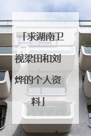 求湖南卫视梁田和刘烨的个人资料