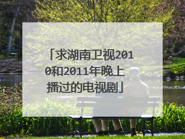求湖南卫视2010和2011年晚上播过的电视剧