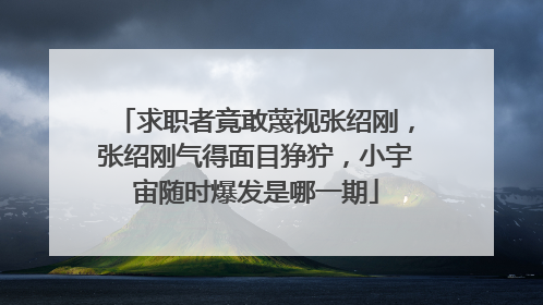 求职者竟敢蔑视张绍刚，张绍刚气得面目狰狞，小宇宙随时爆发是哪一期