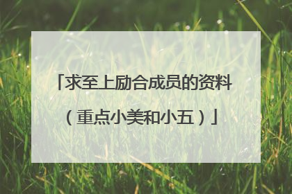 求至上励合成员的资料(重点小美和小五)