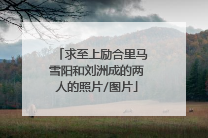 求至上励合里马雪阳和刘洲成的两人的照片/图片