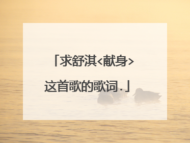 求舒淇<献身>这首歌的歌词.