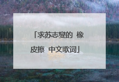 求苏志燮的 橡皮擦 中文歌词
