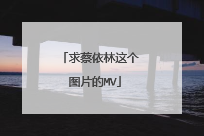 求蔡依林这个图片的MV