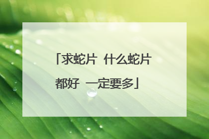 求蛇片 什么蛇片都好 一定要多