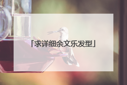 求详细余文乐发型