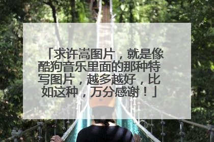 求许嵩图片,就是像酷狗音乐里面的那种特写图片,越多越好,比如这种,万分感谢!