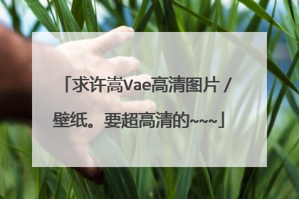 求许嵩Vae高清图片／壁纸。要超高清的~~~