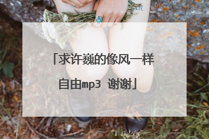 求许巍的像风一样自由mp3 谢谢