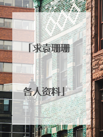 求袁珊珊各人资料