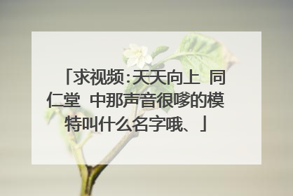 求视频:天天向上 同仁堂 中那声音很嗲的模特叫什么名字哦、