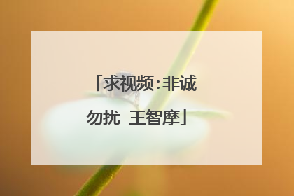 求视频:非诚勿扰 王智摩